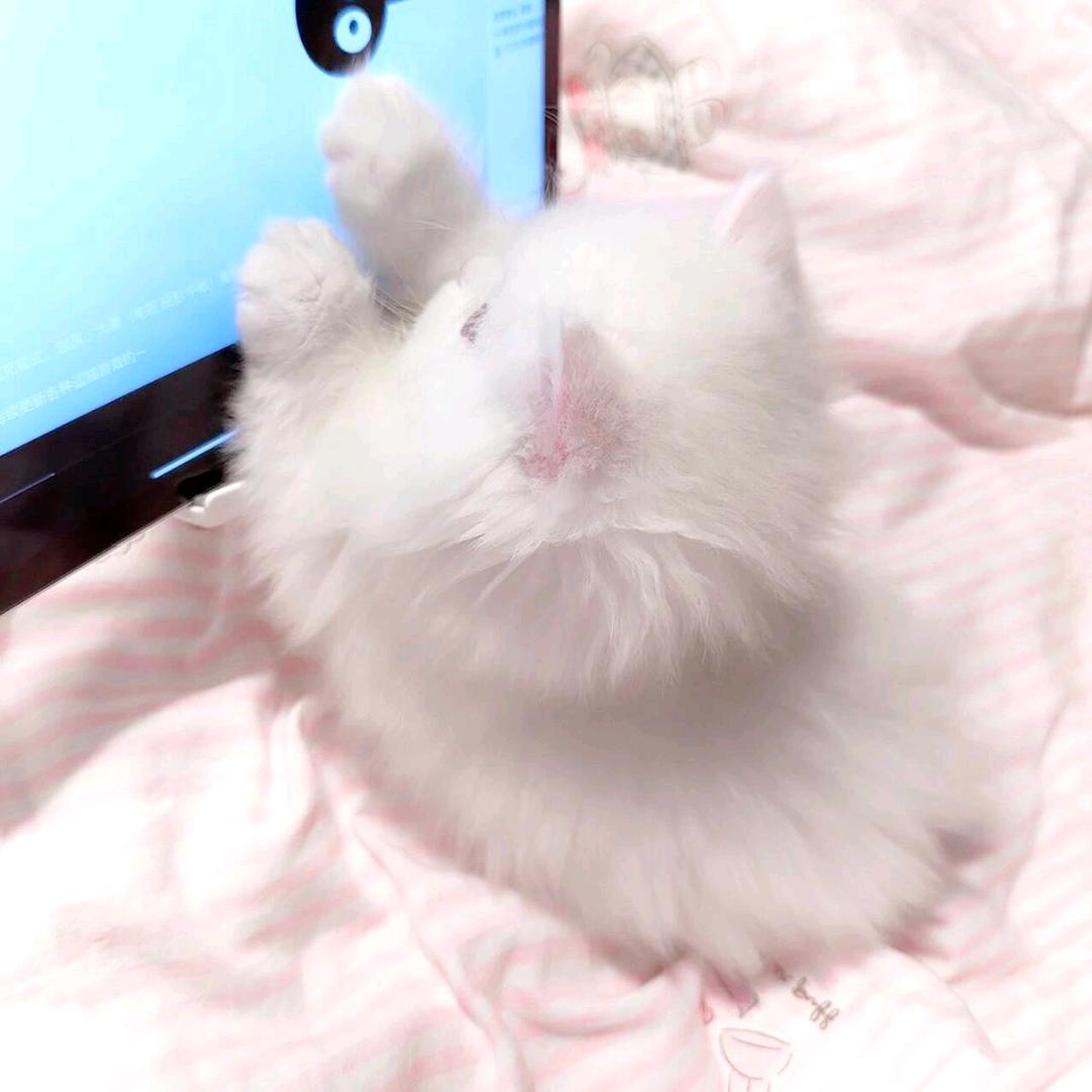 ^佳晗不佳晗ᐝ🧸