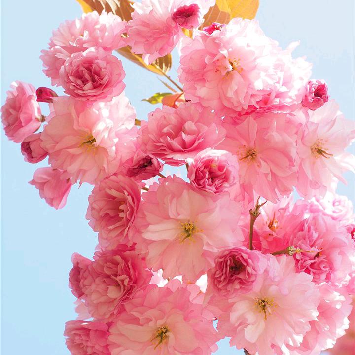 ꧔ꦿ᭄💞¹ᶟ₁₄