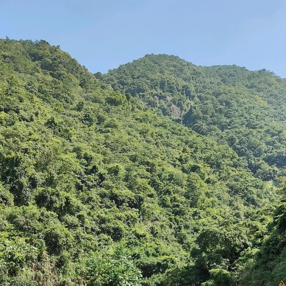 阿健的晓农场