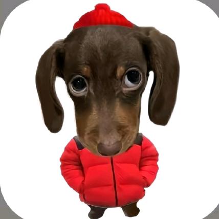 知名脆脆鲨