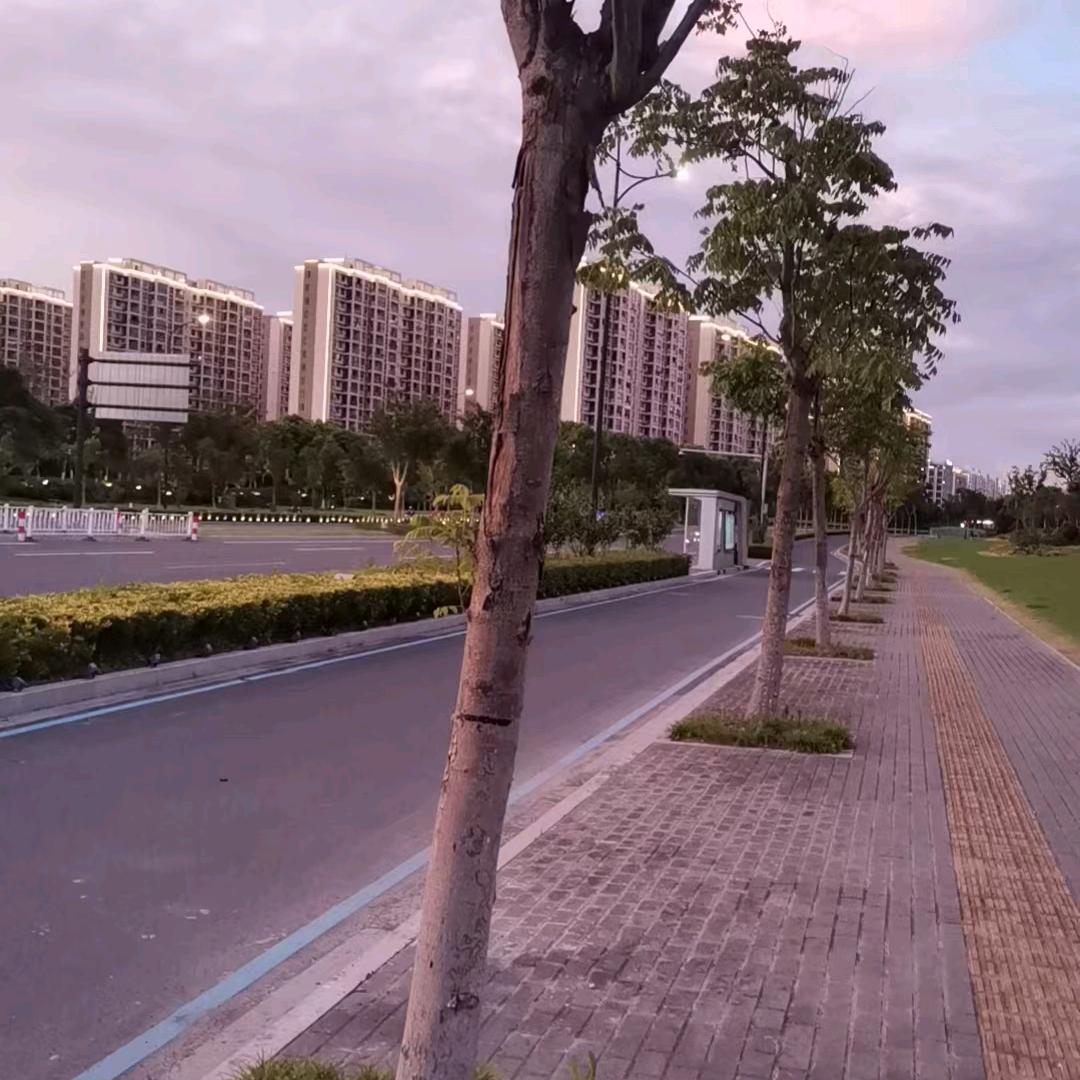 学会长大！！