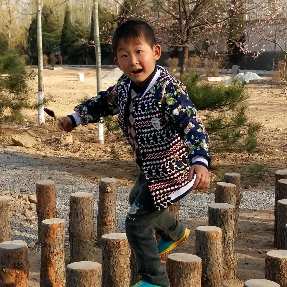 龙