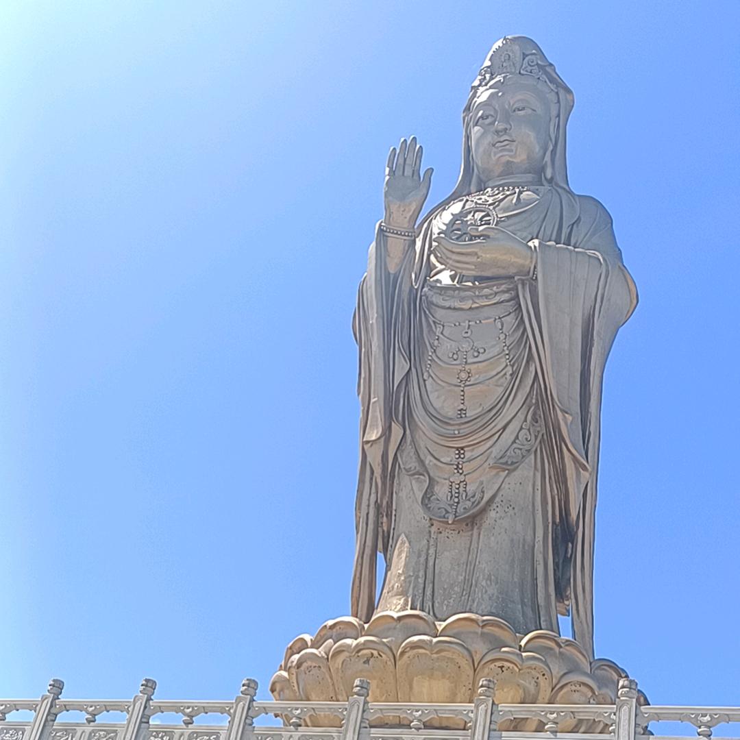 天天
