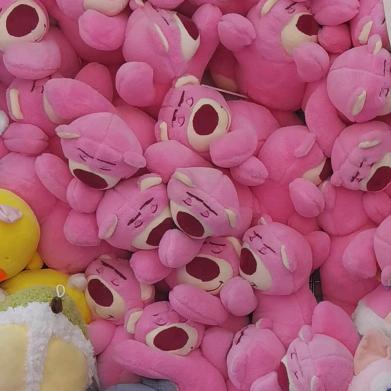 傲似你的小公主