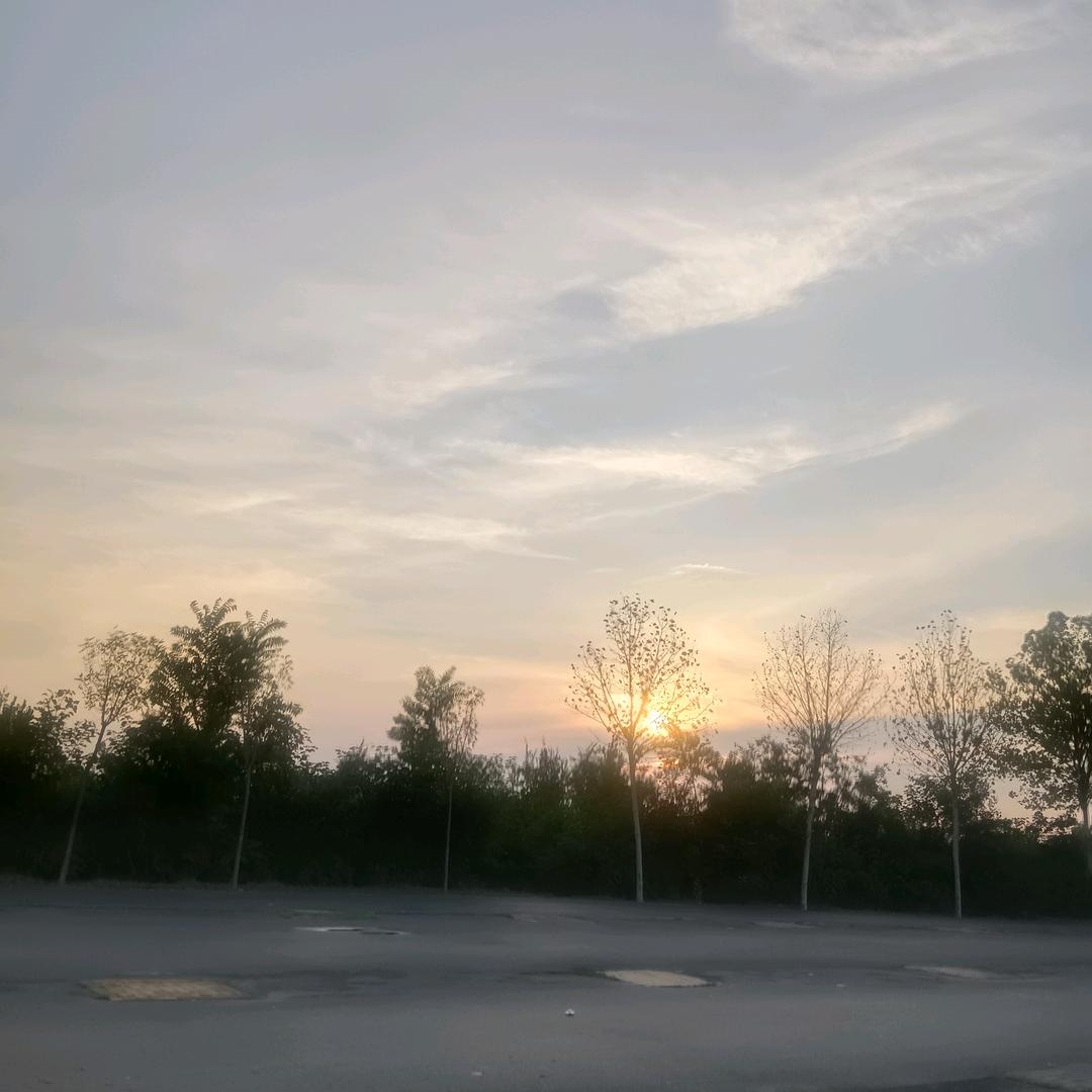 合你相伴贵哥