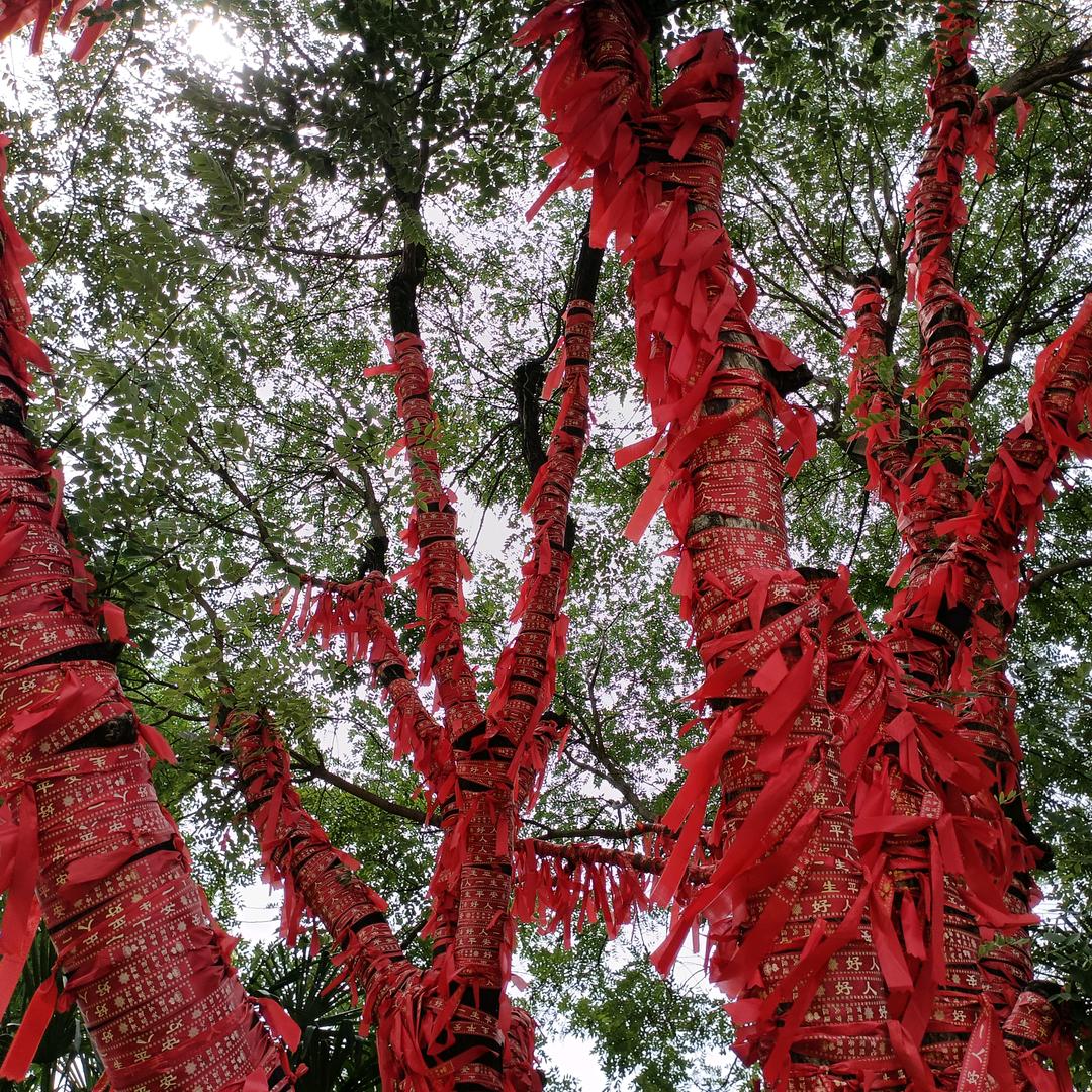 思念越长 爱意越久🎐