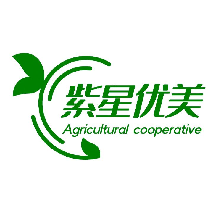 紫星优美