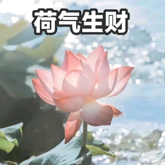 花好月圆