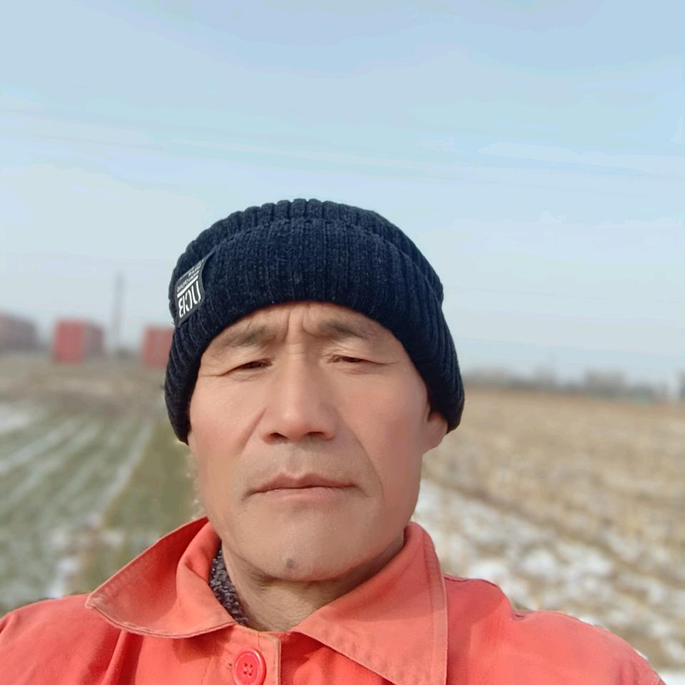 洋洋快乐（晚8点10分开播）