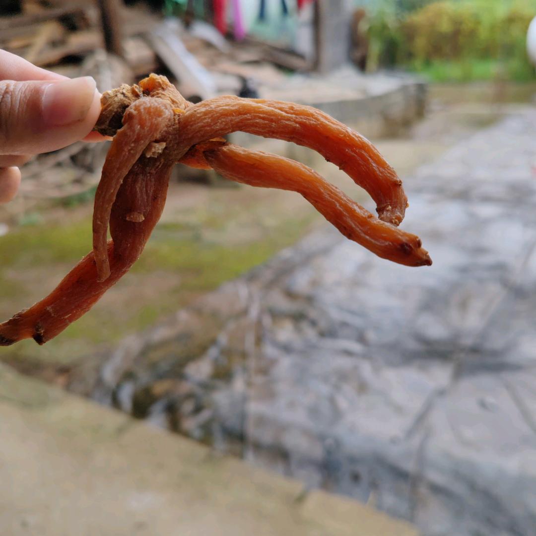 杨杨寻宝阁
