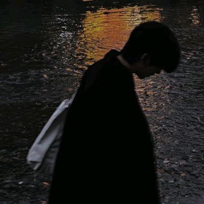 ✘柳叶