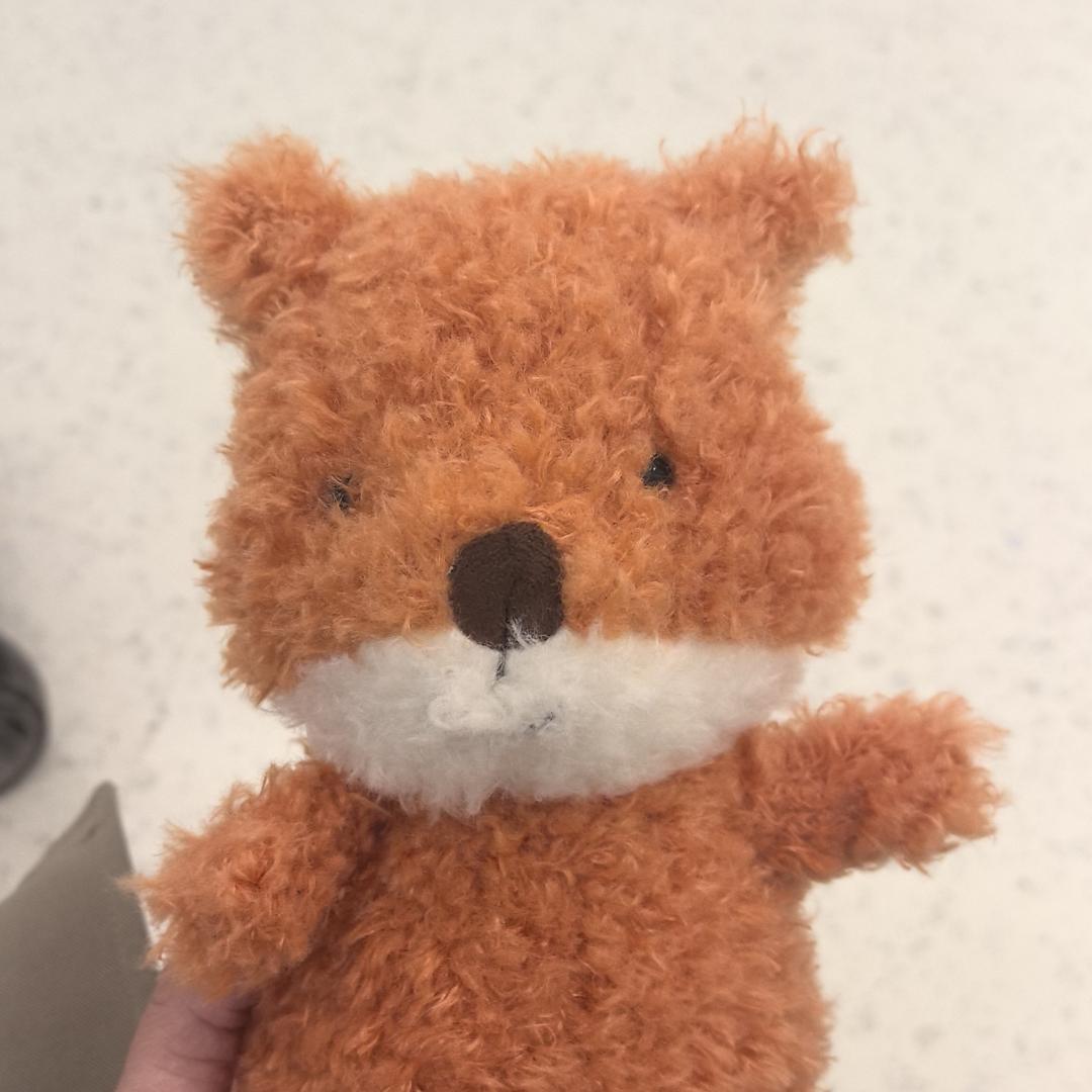 情绪稳定的叽歪狗🐶