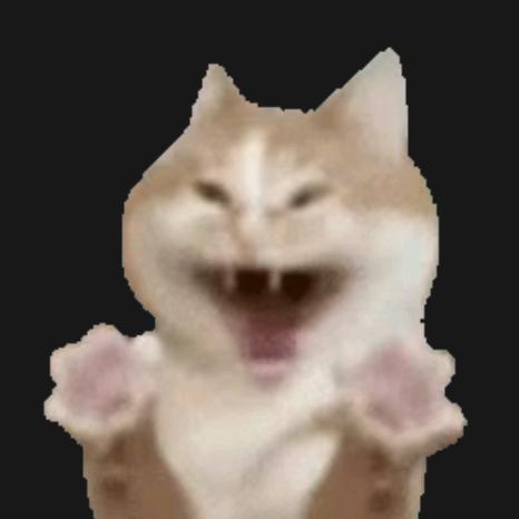 丑猫（起号版）