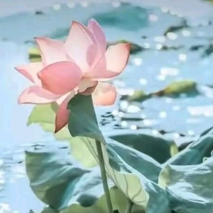 用户643023646