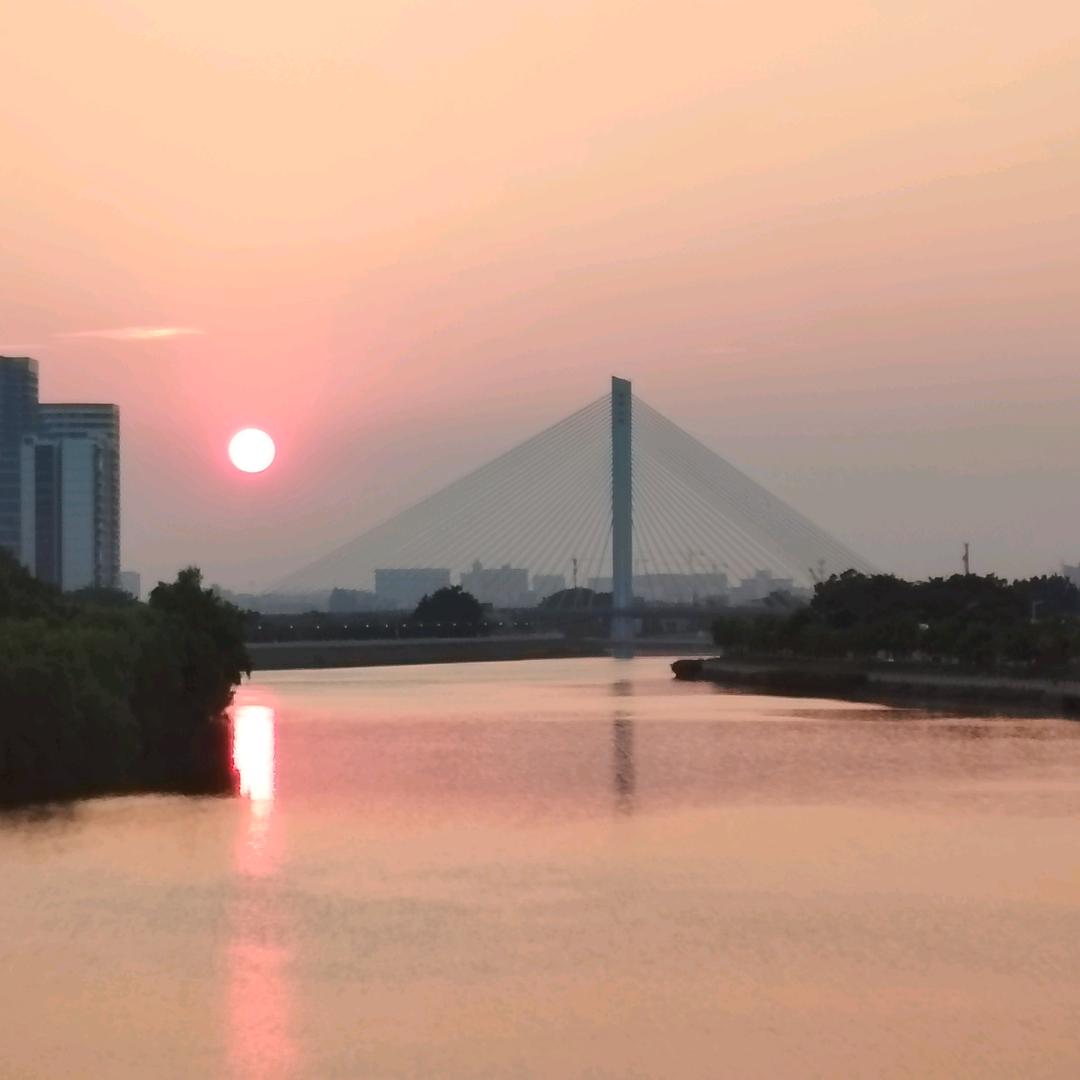 梦杼
