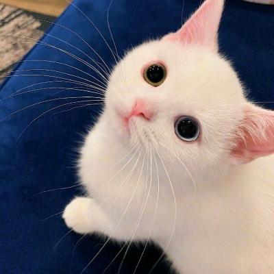 阳ˉ﹃ˉ光男孩
