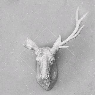 春风十里か郎｜Jeson