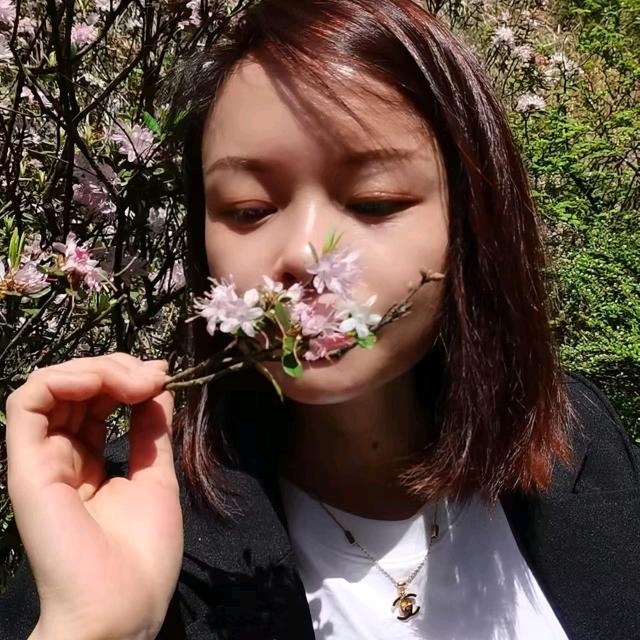燕子我姓王