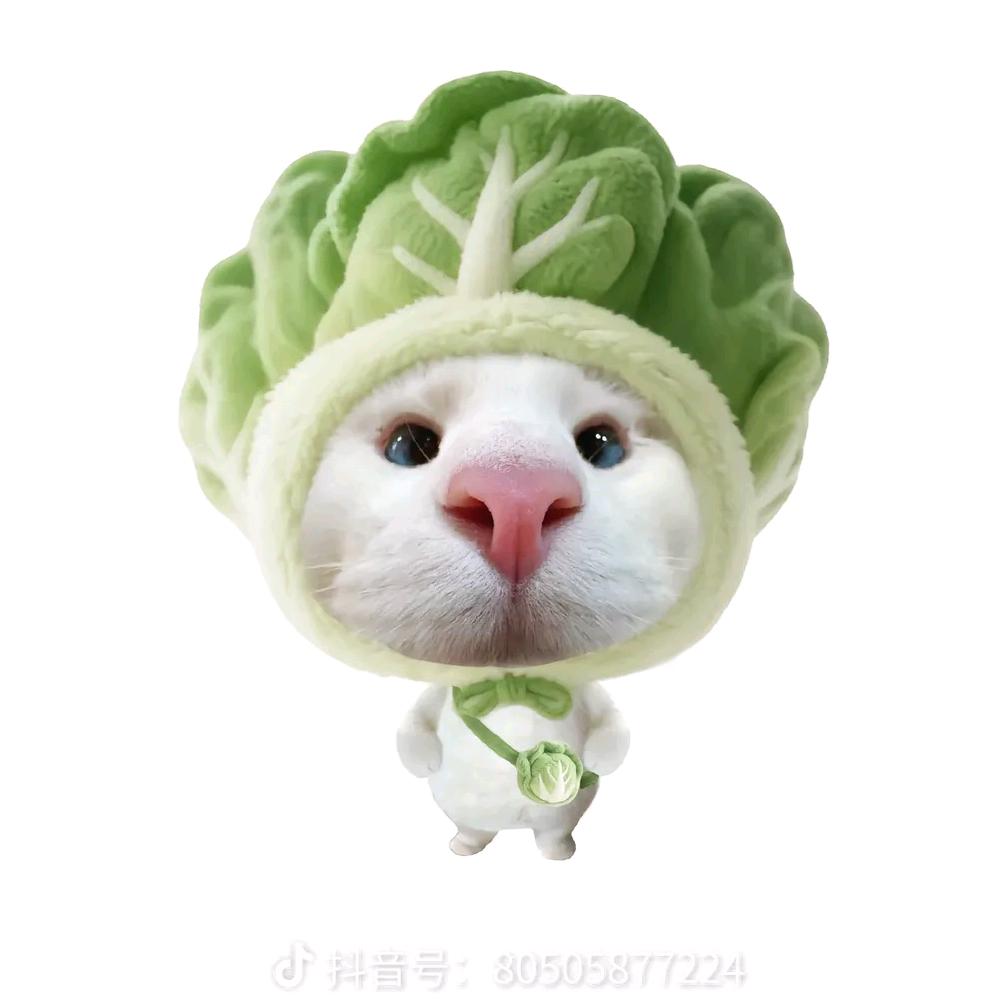 琼.🌸