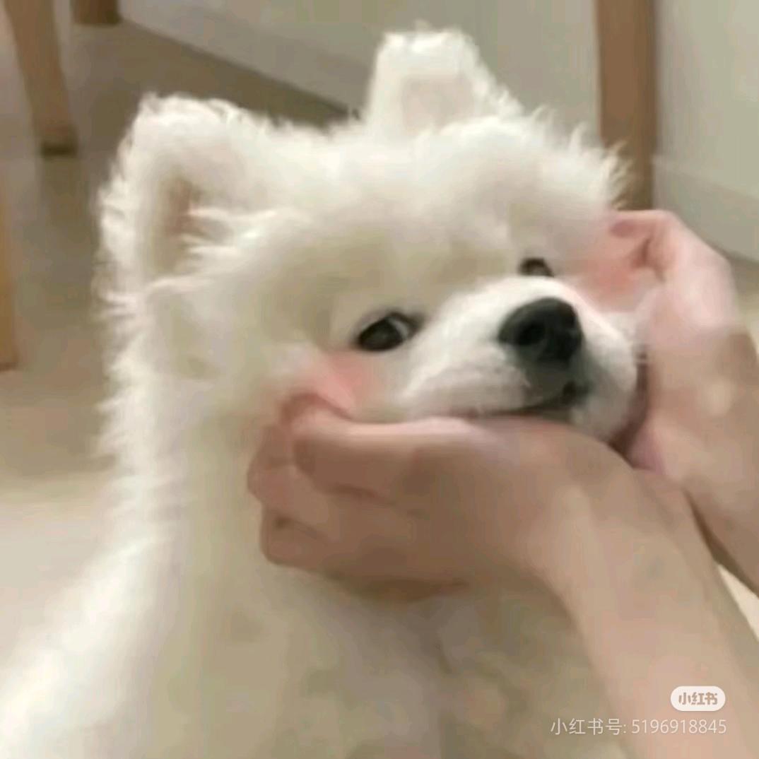 手抓饼夹鸡柳～