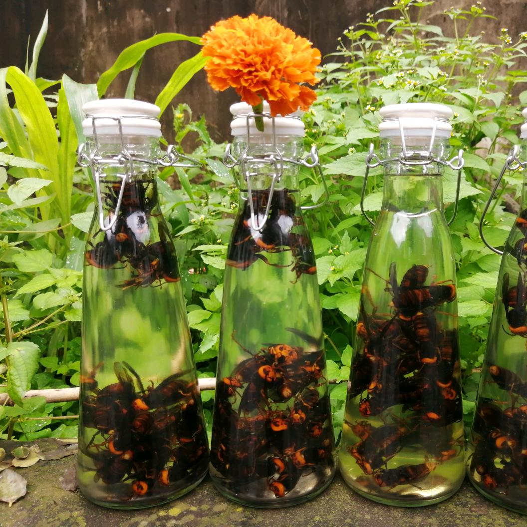 高家庄！！明哥