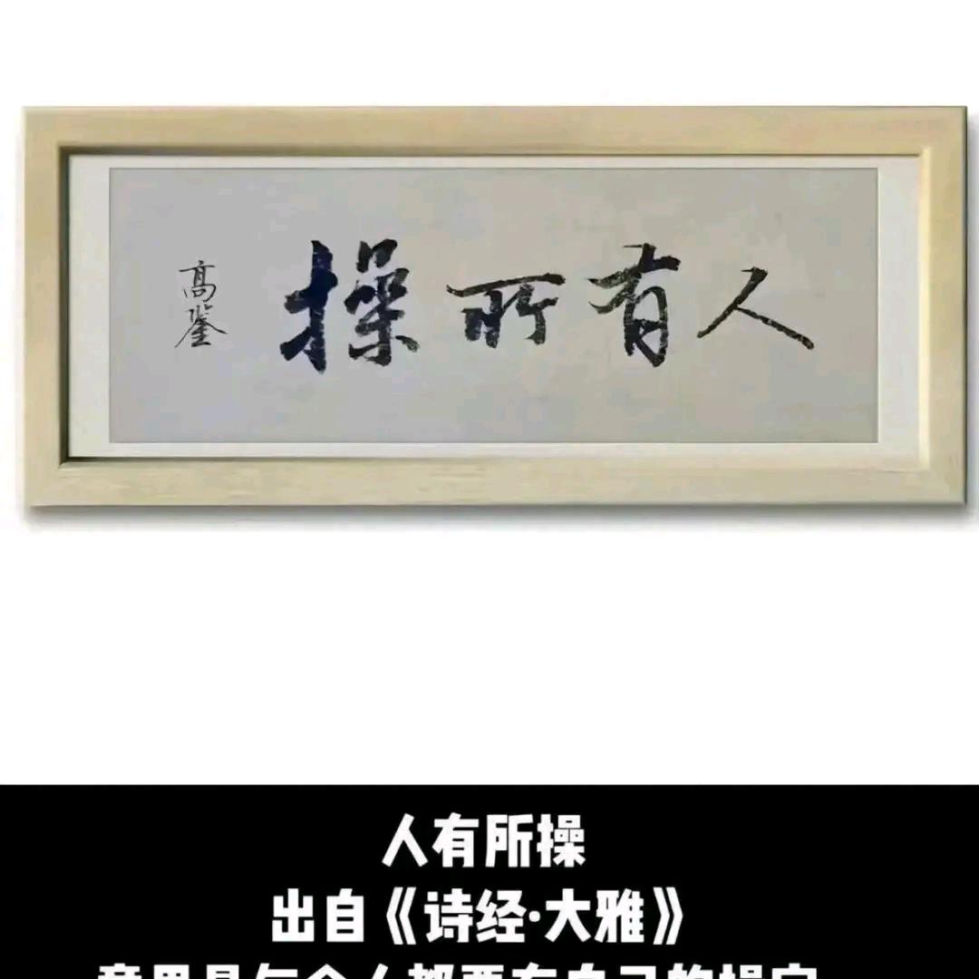 青青菜叶菜包饭