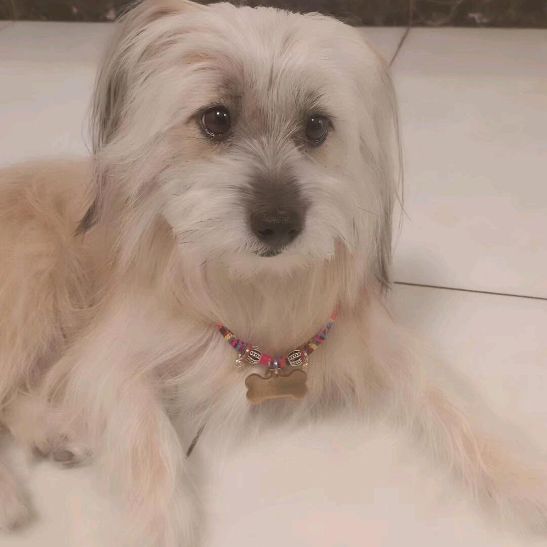毛♥毛