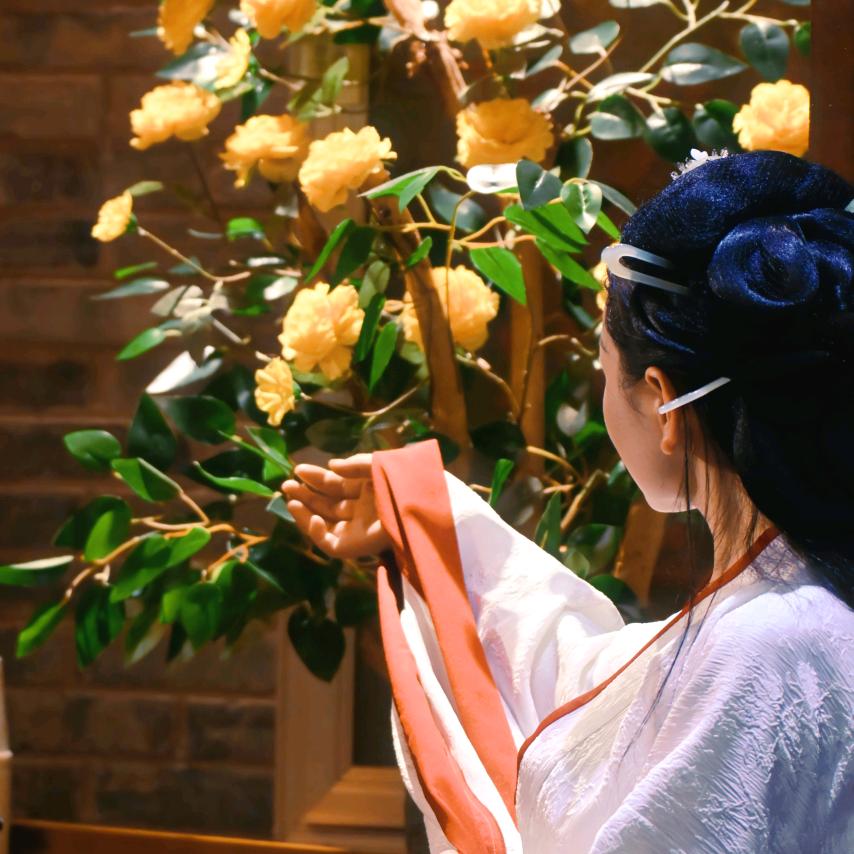 七七桃夭