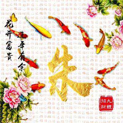 鱼之爱加强版窝料