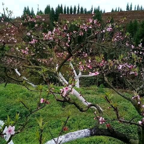 缘份天定