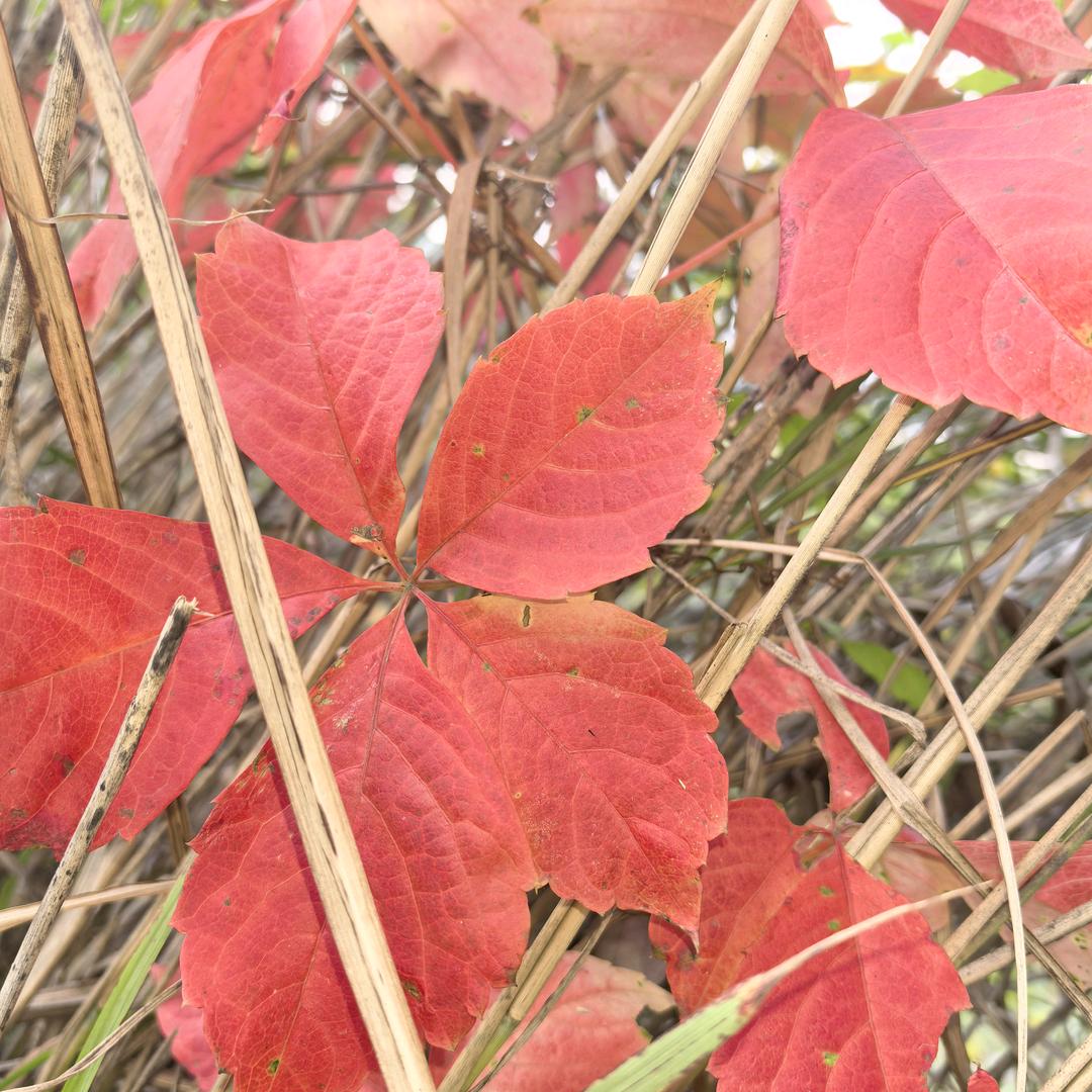 《事业为重.情义为先》我在美丽绍兴