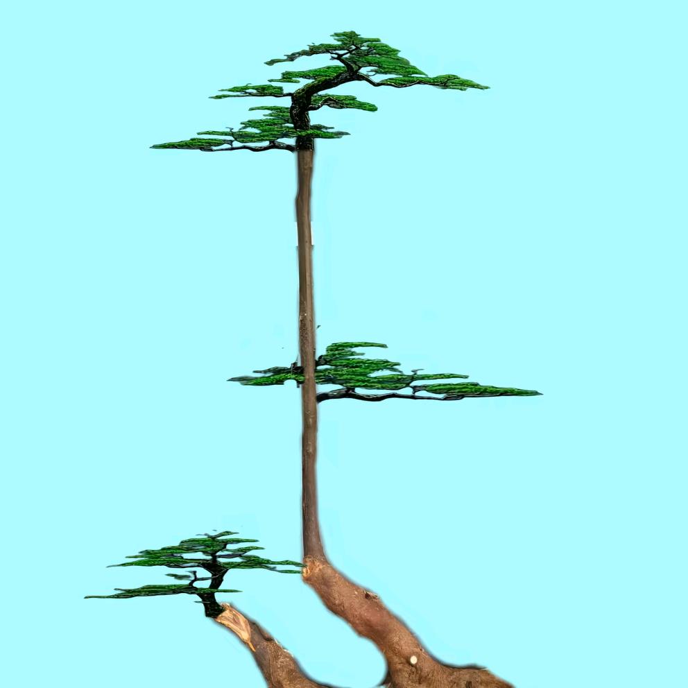 壹号仓库金弹子盆景园