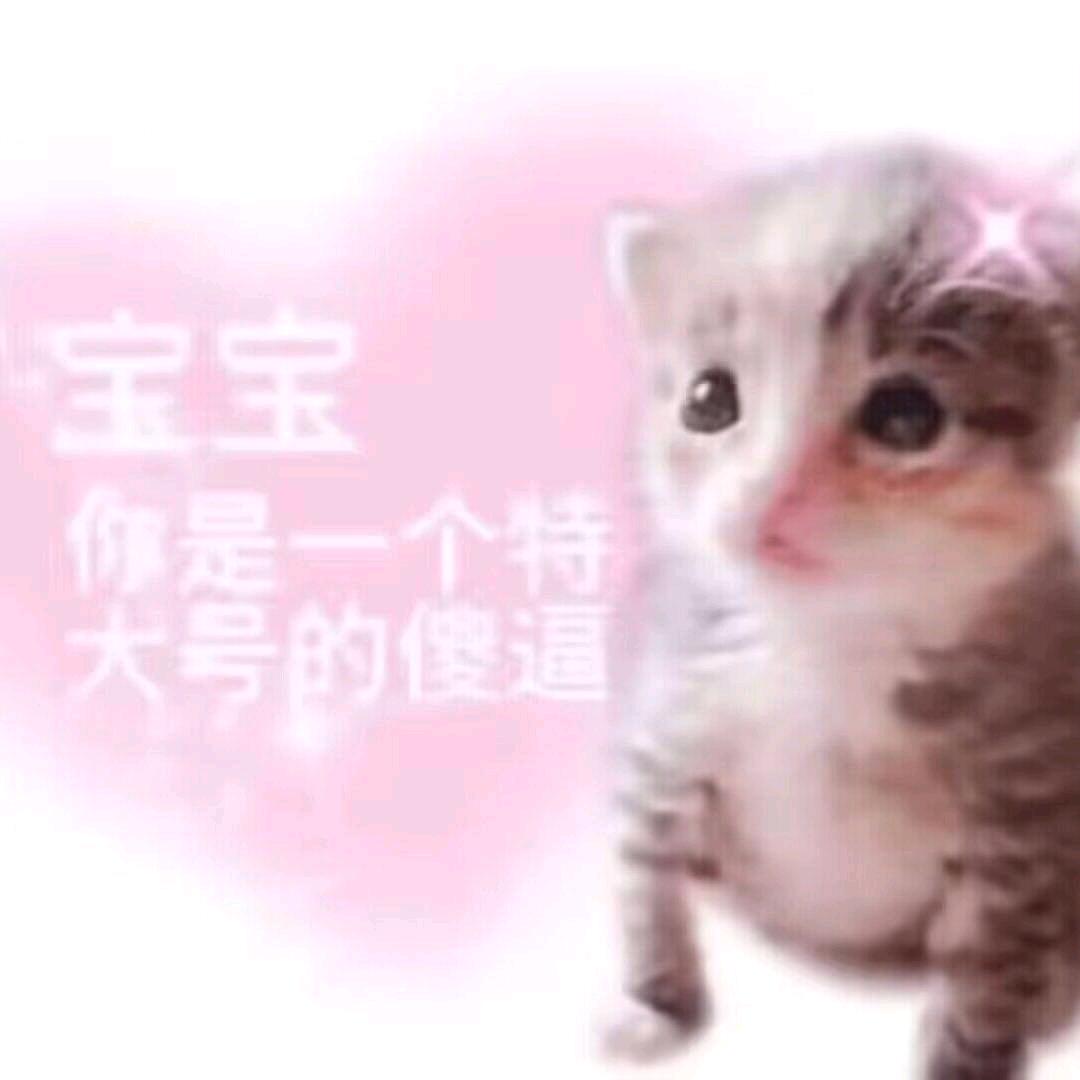 婉冰樱