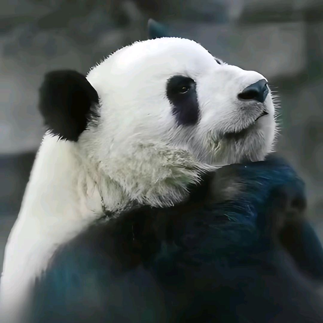 永远如此