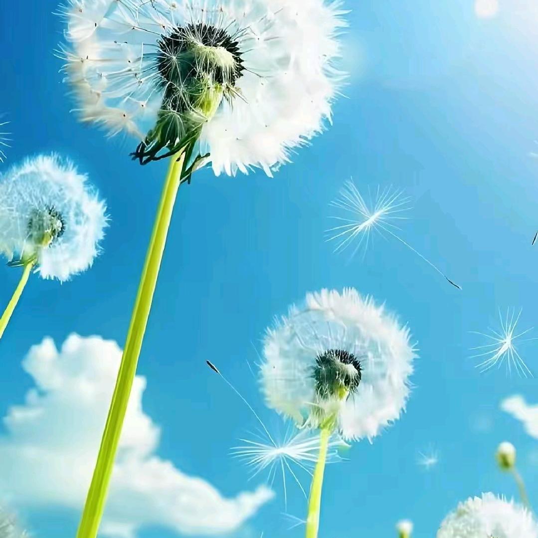 ～一切～随缘～