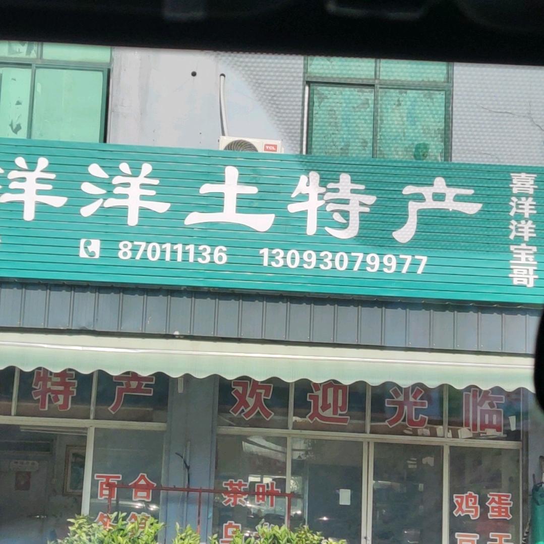 喜洋洋宝哥