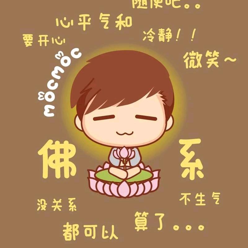 随心走