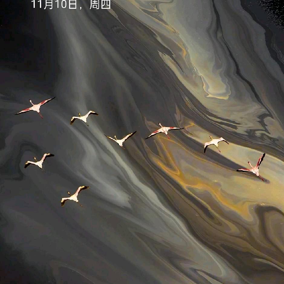 利辛大哥