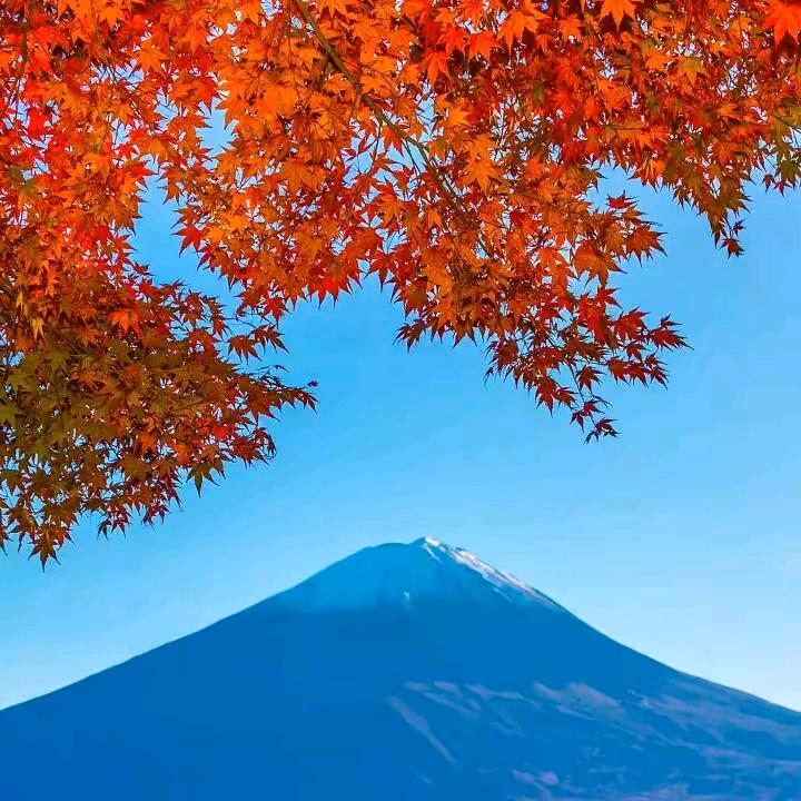 ⛰️大明乾坤⛰️