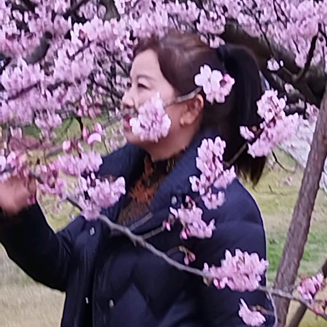 杨梅姐