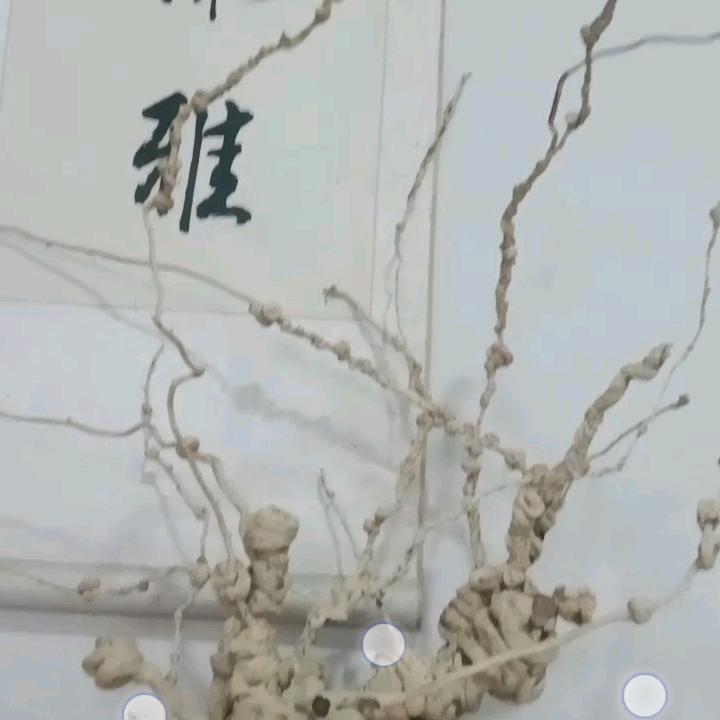 降龙木根雕登山杖