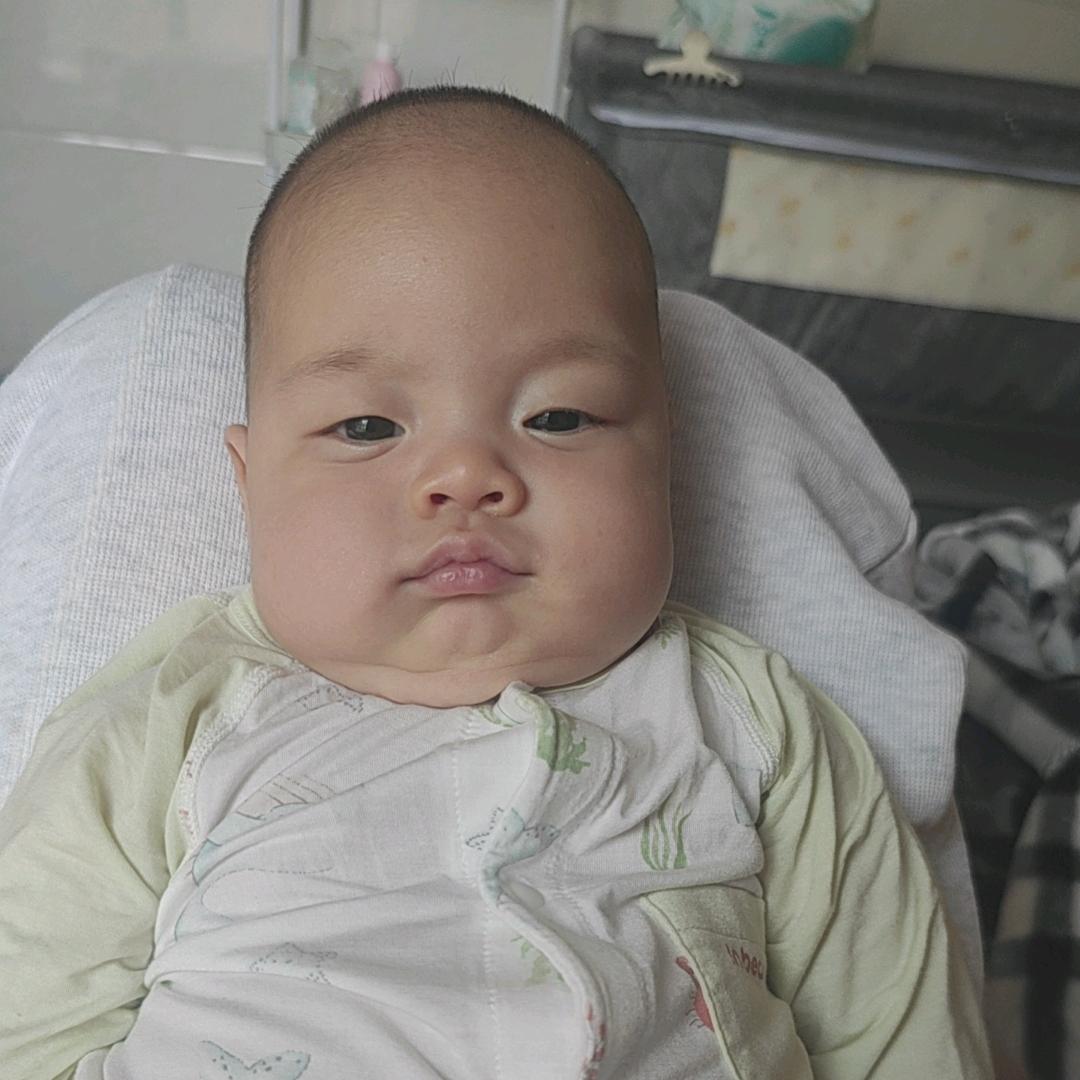 小团子的成长
