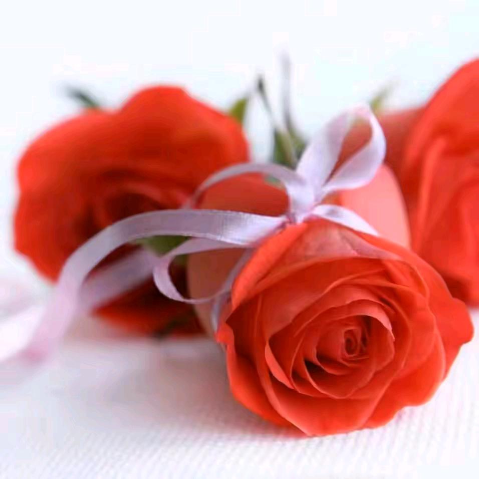 开心@(❁´◡`❁)*✲ﾟ*🌹🙏