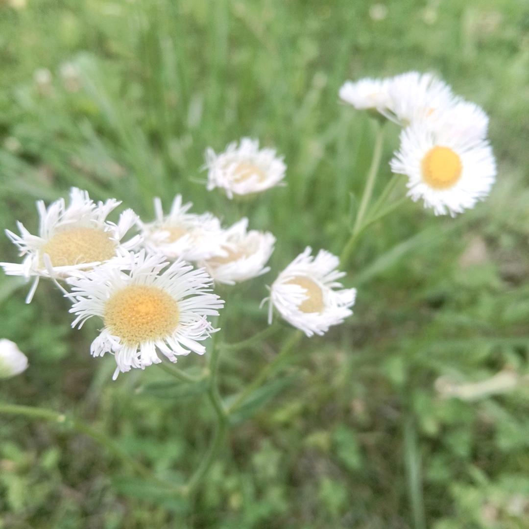 飘🌸落💐的🌺爱