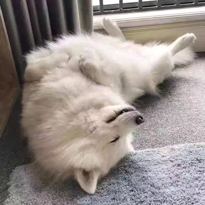 未满