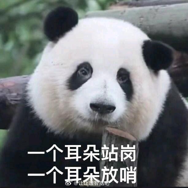 炘沐(有王阳亲签且打招呼对视版)