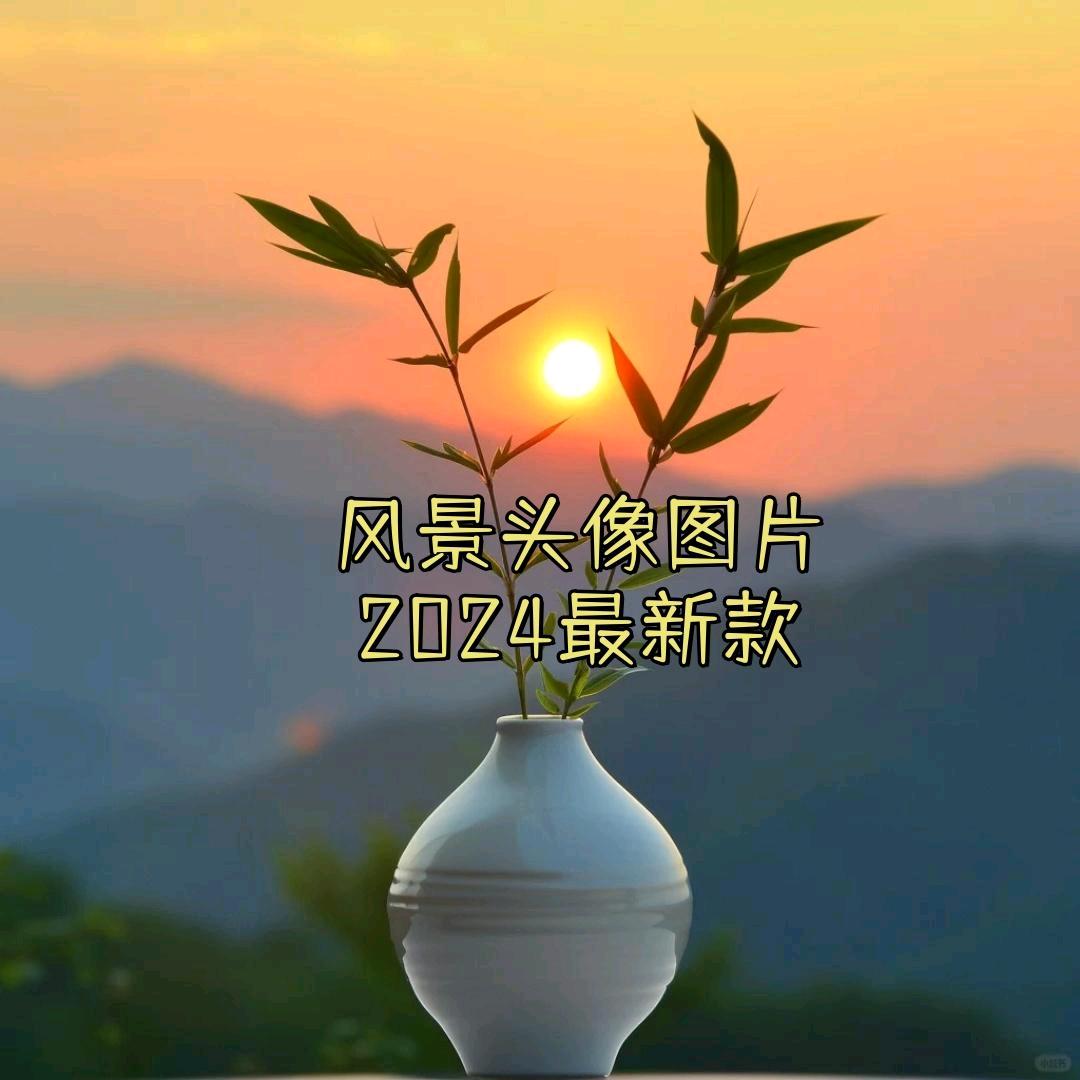 飞飞