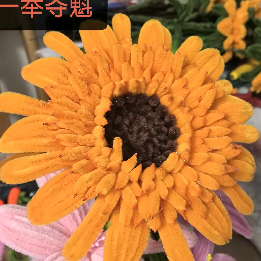 自由飞翔