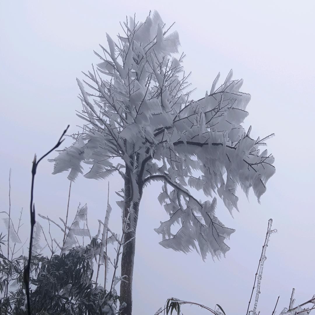 美丽的天空