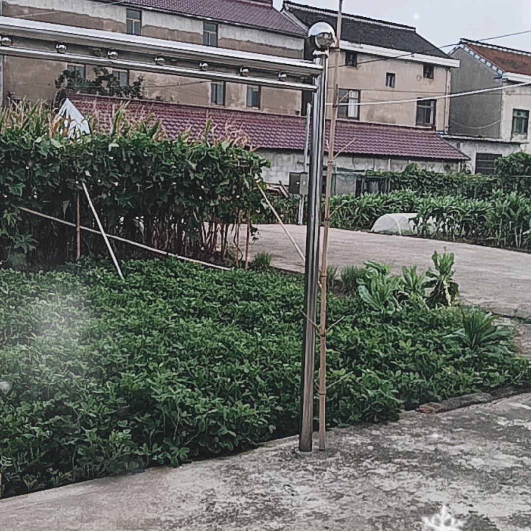 周汉忠